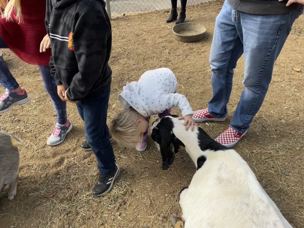 Alex with goats