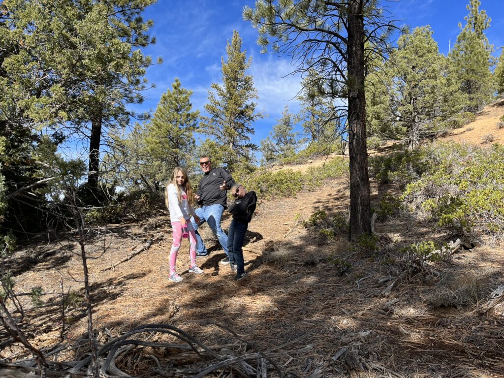 dad with kids hunting for tree