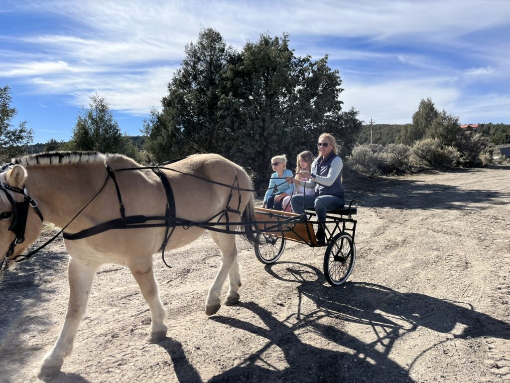 kids in horse cart