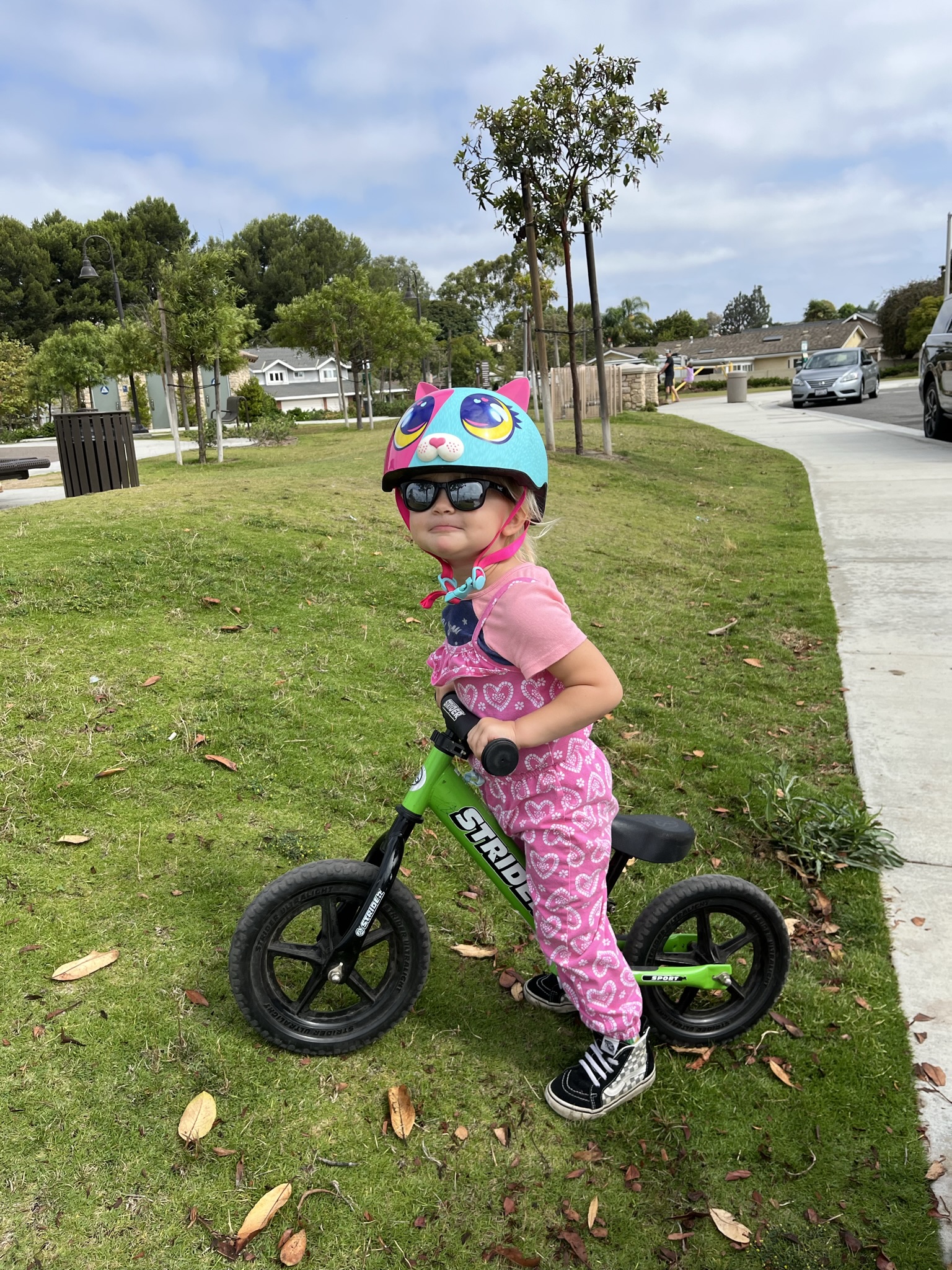 Learning to Ride Bikes