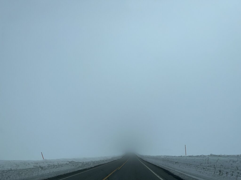 mammoth fog 2